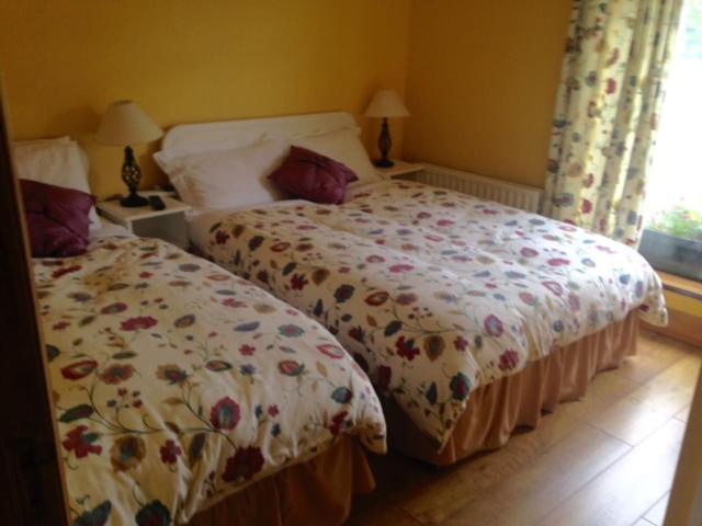 River Edge B&B Jamestown Extérieur photo